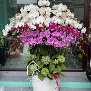 Z7229744422499 1f5987f5ed412db85de2b10a7eb36eb6