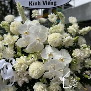 Z7232474689628 12b2ef31c6e1260f8bfe63d5bf886587