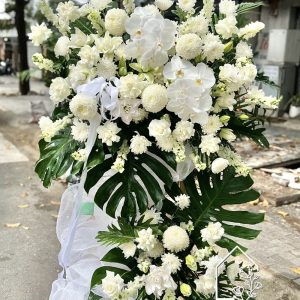 Z7232474711245 0ac513101f545d44cb9e79ee8d7d0266