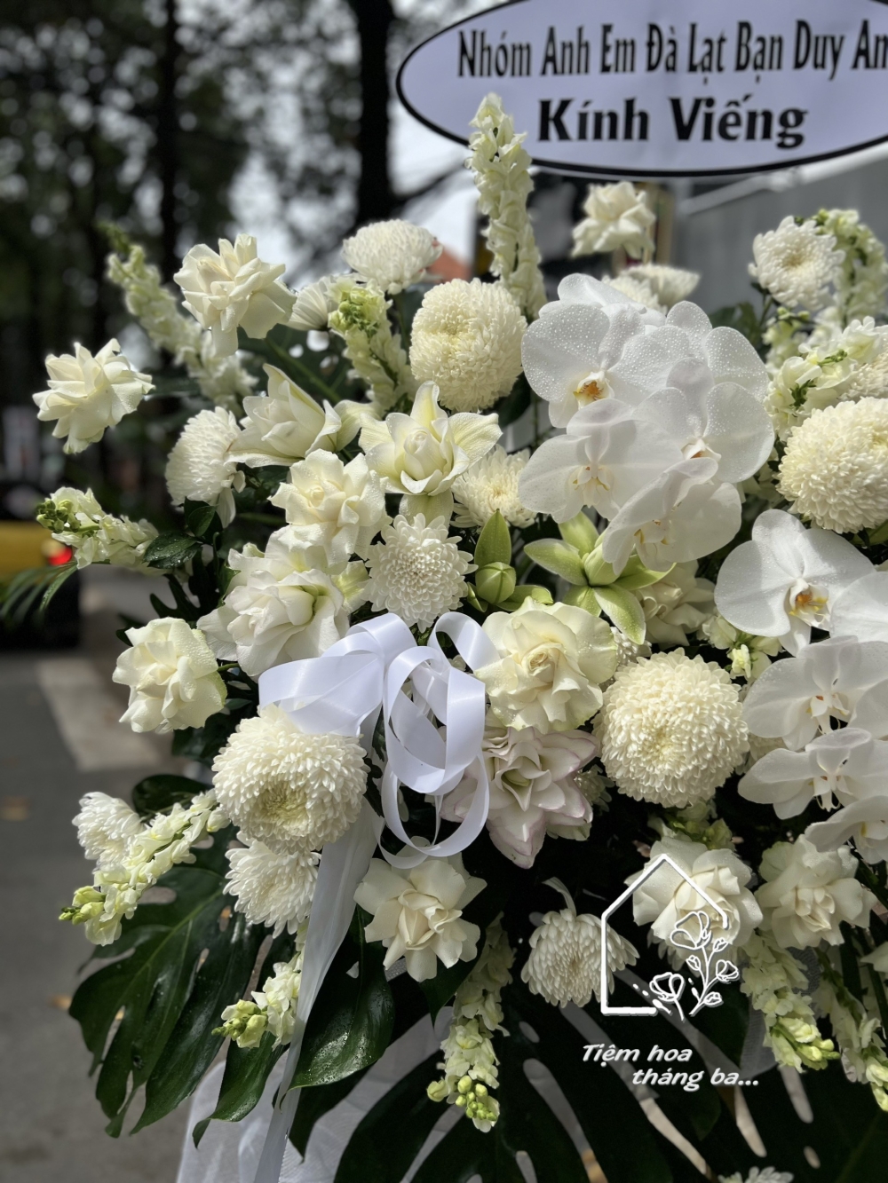 Z7232474749904 D4b6fae018d0b0e7797ece4d3c8fb81e Z7232474749904 D4b6fae018d0b0e7797ece4d3c8fb81e