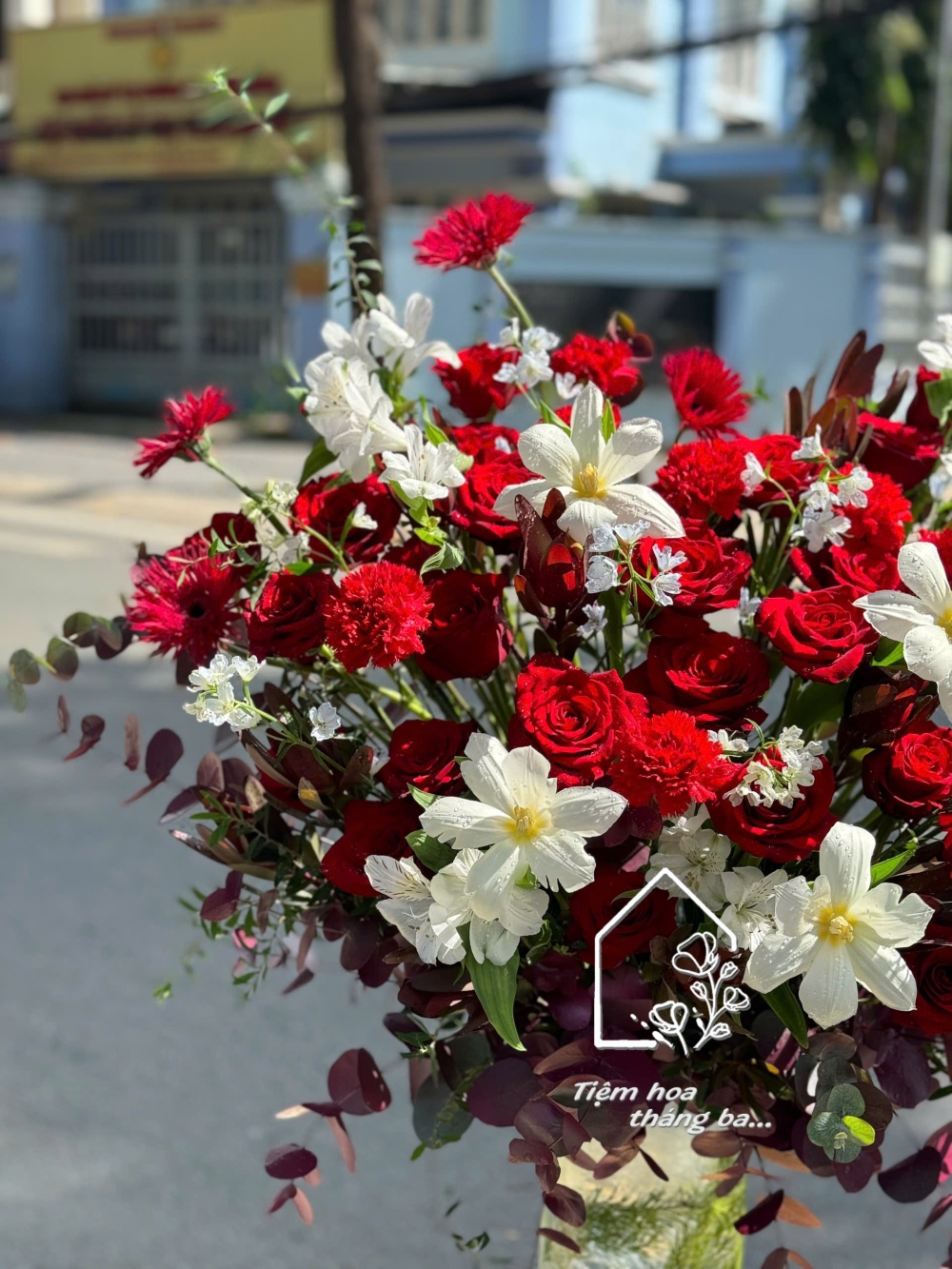 Z7267752402472 987c43c195fd9fafafde603b74198e29 Z7267752402472 987c43c195fd9fafafde603b74198e29