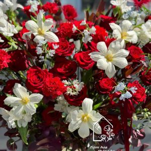 Z7267752402482 Bbdc5de76925babdaf9f416ee5d8cf6b