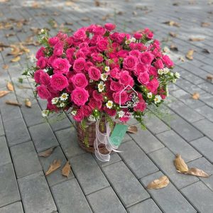 Z7304932251813 Ff306df2128c31525c23242a17c15345