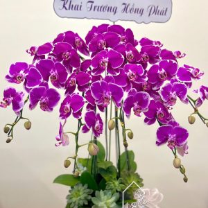 Z7312947329747 F08ee8f59094ce23a391ccc62c0aaa7b