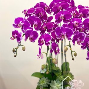 Z7312947329748 Dc4cc3db0103239c4ddffb28147016d1