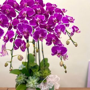 Z7312947329751 60ebb5a73f6afb62d7e2c975711a0088