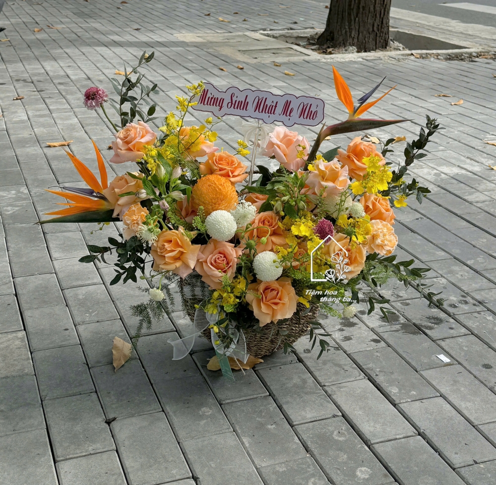 Z7315140675985 8402cc8e4ecad12f8b4fb014ed312d12 Z7315140675985 8402cc8e4ecad12f8b4fb014ed312d12