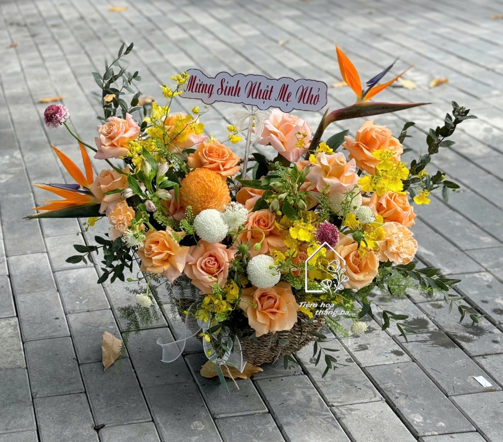 Z7315140682094 300b42e41ff52dcdb8f513b6bbae4dfc Z7315140682094 300b42e41ff52dcdb8f513b6bbae4dfc