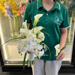 Z7323355387877 Cb2980c9c014b53b065bd175bebb30a3