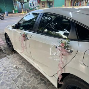 Z7324547402655 0e9ca95568c97cc167b0b9fc429166d0