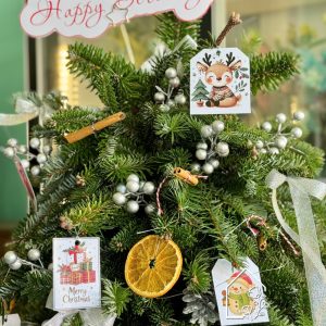 Z7324777481379 C1ddca4c529e28cfd390975dcff086c4