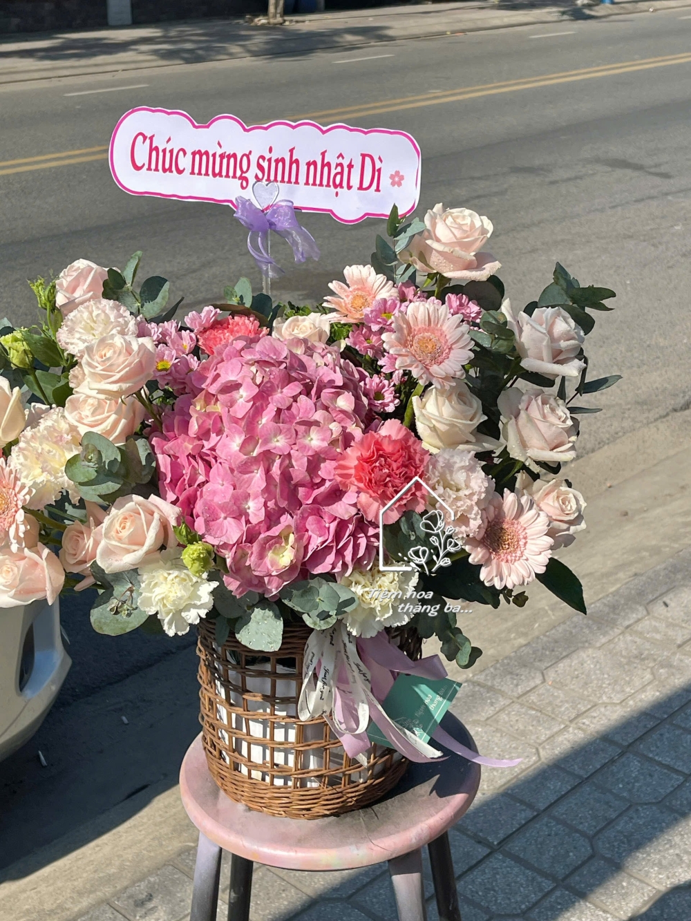 Z7325135398225 5255b611e97ed093454a176742bea7a9 Z7325135398225 5255b611e97ed093454a176742bea7a9