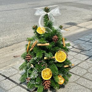 Z7377023908053 11105d0ed474396e447d210aae9dfa0f