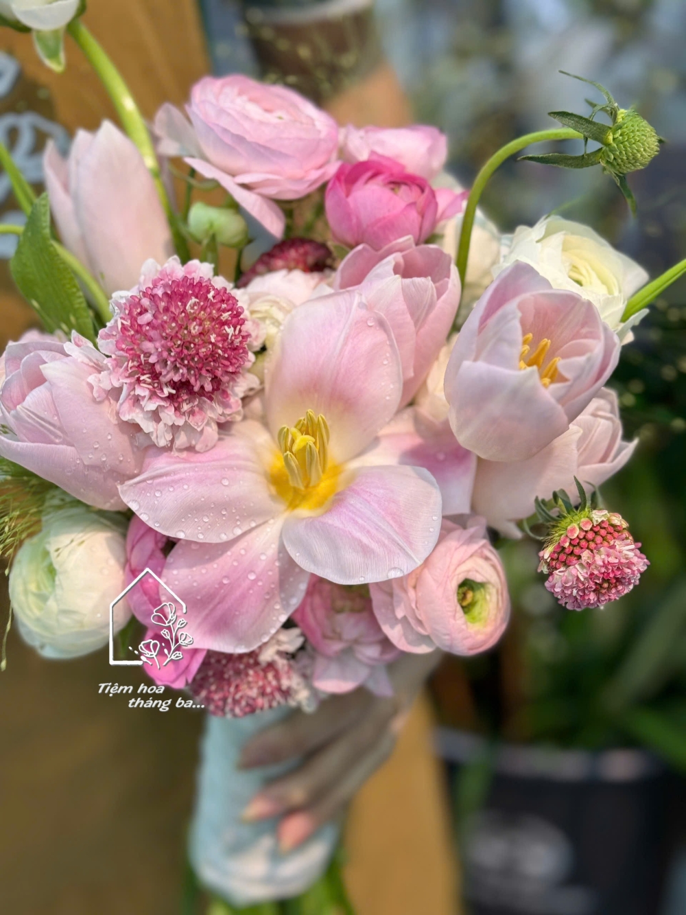 Z7347869148517 B8248fa3e131d470157eb8684d869909 Z7347869148517 B8248fa3e131d470157eb8684d869909