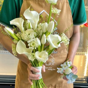 Z7367645131502 1036b04c026f11705e567147dfc28c92