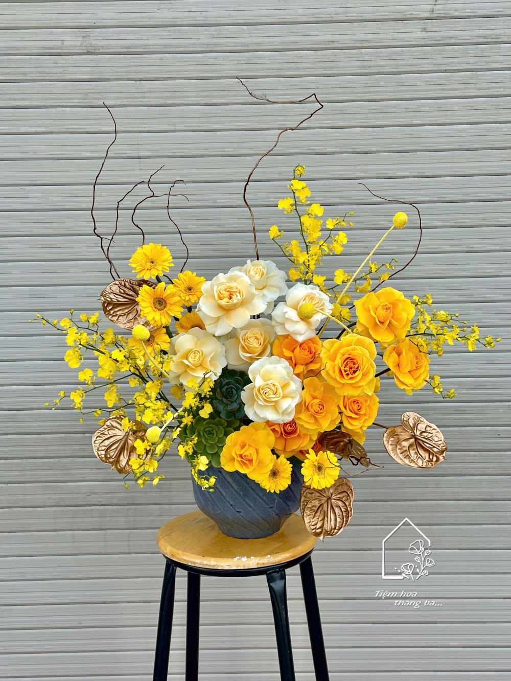 Z7387215856978 C11c67fd57b574ee73a8a105dc8adb57 Z7387215856978 C11c67fd57b574ee73a8a105dc8adb57