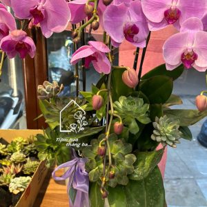 Z7393166059809 25a304d50edfb97f7906a7ab133ef739