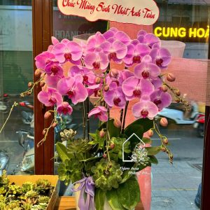 Z7393166075847 693cb733a82cadc5625d2fdd2d8aa96a