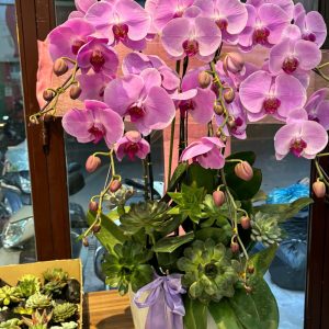 Z7393166079070 F8e188da8fea6a193a5b542a1942c232