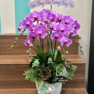 Z7393552131513 C52b2fc0db27ab029e0cdd3dd8e21c2d