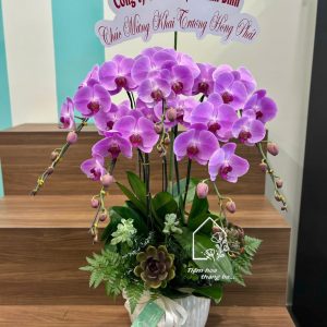 Z7393552142347 E159d0a70a075e2996b7346160fe3d26