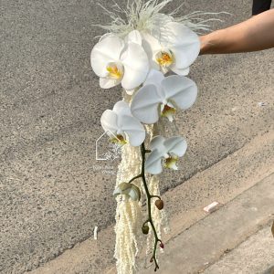 Z7400156295601 25e6d5d2f64bd9d80cc6809be78c1cc1