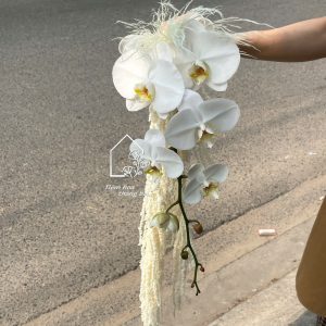 Z7400156316098 77326e5503319deab160cb20a11d5035