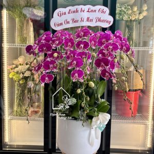 Z7400193870577 Ce07fe42ec161ccc31cb58328aaaf131