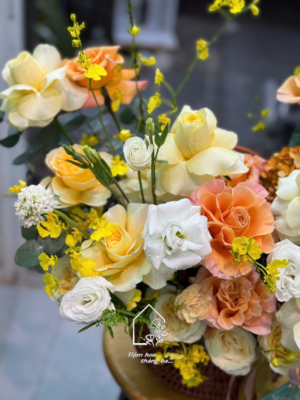 Z7400258363883 1a72faafe4704143c9cfb9c1d6d33f05 Z7400258363883 1a72faafe4704143c9cfb9c1d6d33f05