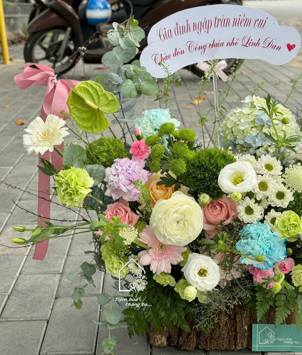 Z7402963927318 D90aeed8f9bd4c7d382f1d179923d646 Z7402963927318 D90aeed8f9bd4c7d382f1d179923d646