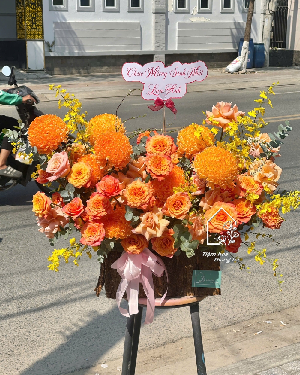 Z7412844644033 01ba1f3a3c216d0c99a1b0c25cc8729a Z7412844644033 01ba1f3a3c216d0c99a1b0c25cc8729a