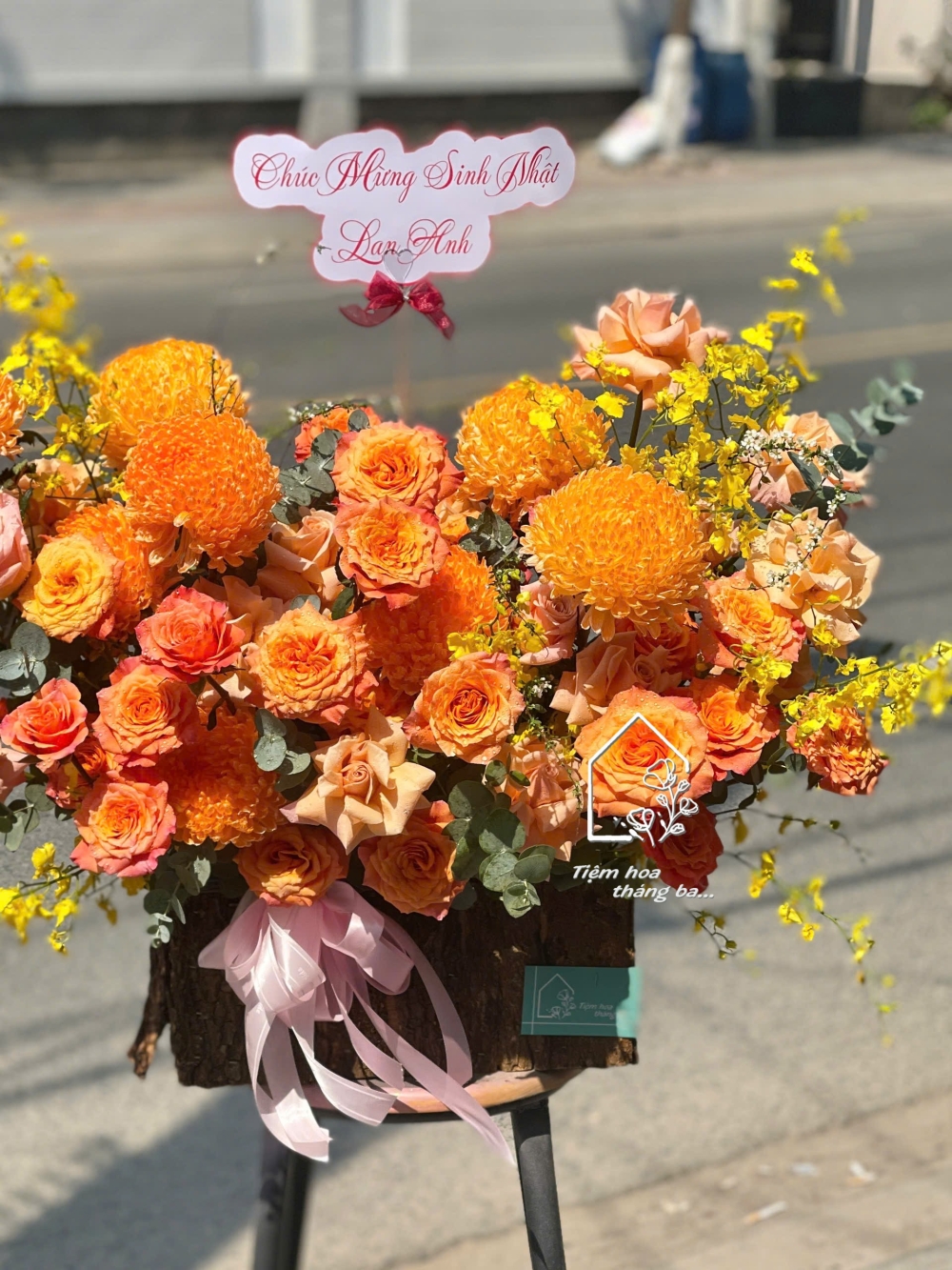 Z7412844653938 99005bcc74833491953557720a296e7f Z7412844653938 99005bcc74833491953557720a296e7f