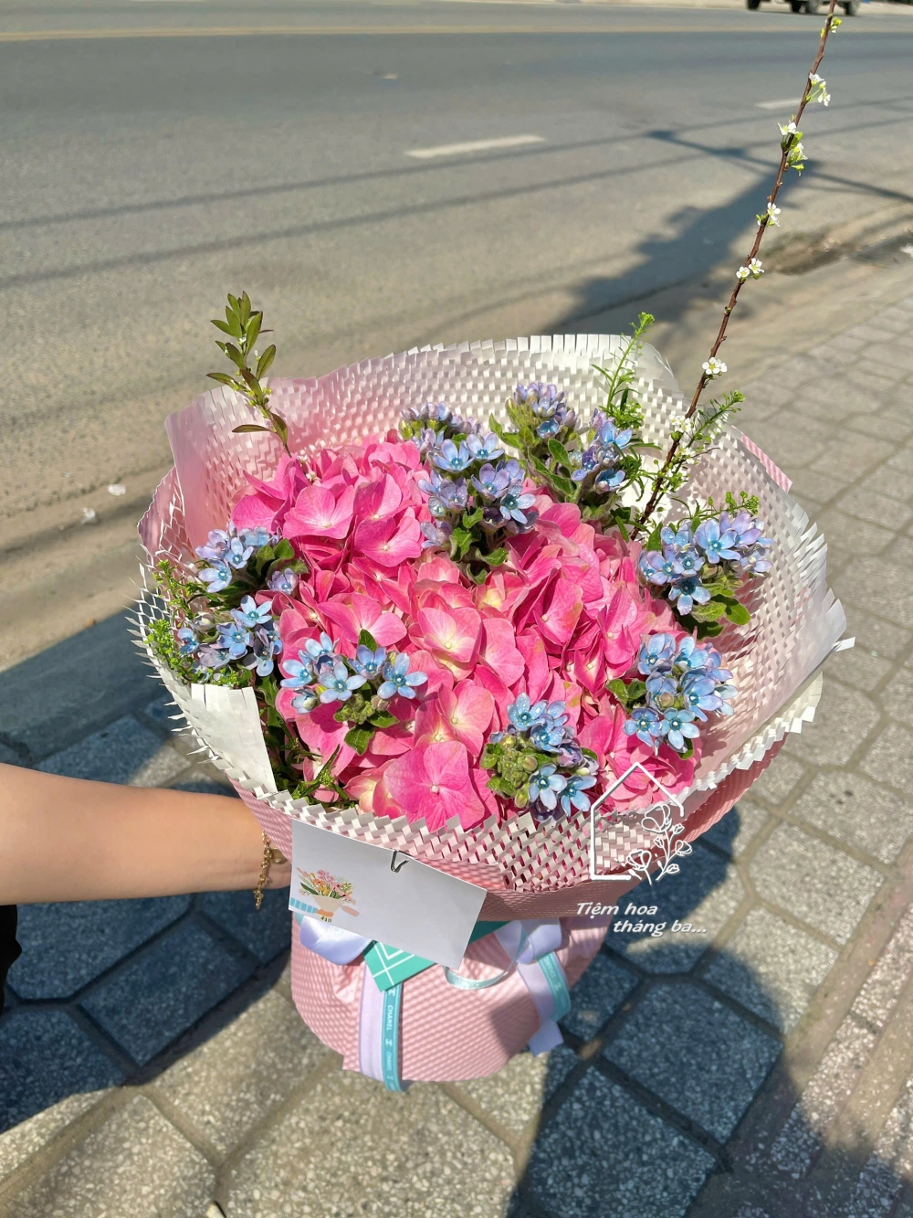 Z7412938975037 7e893d37f9afd259ab31ef86b0f59854 Z7412938975037 7e893d37f9afd259ab31ef86b0f59854