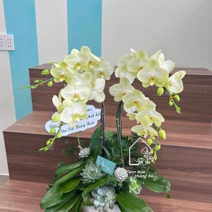 Z7422890880903 Fa4db415cda9d7ddfc7778433601e1d7