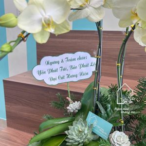 Z7422890890684 27462cda94f8b783c03b628571490f4d