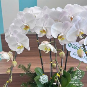 Z7422997917638 A1f49d038a0b44d7f69dbbc2575e1542