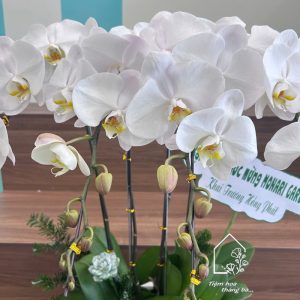 Z7422997926702 9d9d5d215a1b90a1d4fee779d3c6f70e