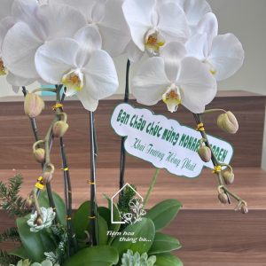 Z7422997934068 73afd981ab5d751d51cce8e6194a06d7