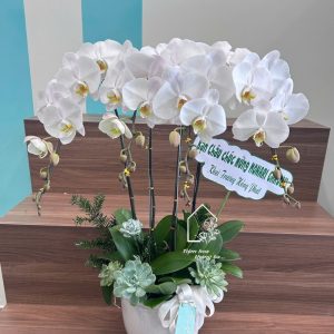 Z7422997934928 357e4ed03cd7778fe43b9b99e7ff183f