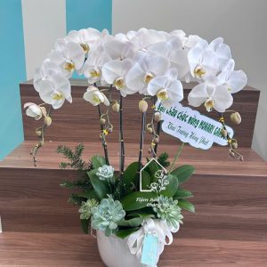 Z7422997950231 5e211facc4ed29aac4736248e7fa646e