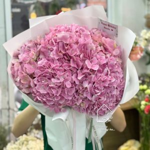 Z7423330486812 10b55ea92d377e2f03130f80c2755cd3 Copy