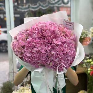 Z7423330489631 9e97014914ce042dc8c8ae0fdf7bfff7