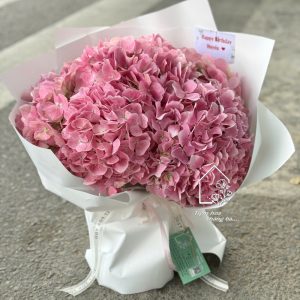 Z7423330501943 8963035622afafcf27978b1a04e18938