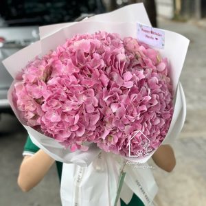 Z7423330503328 C71a63f3c9eba3bd346f68c7f41e26f5