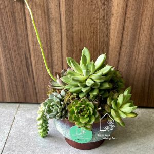 Z7425675547764 7ec02fef85c003edceb542ad6cf51663