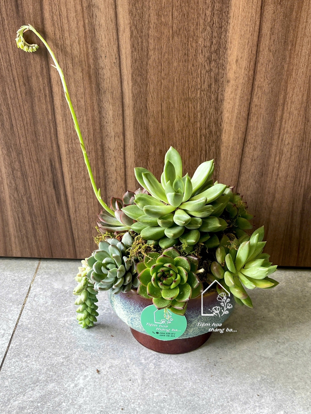 Z7425675547764 7ec02fef85c003edceb542ad6cf51663 Z7425675547764 7ec02fef85c003edceb542ad6cf51663