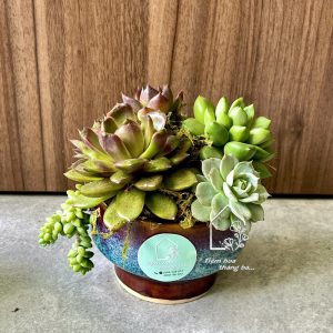 Z7425675556919 54389b6d1609829d202033cd500e034d