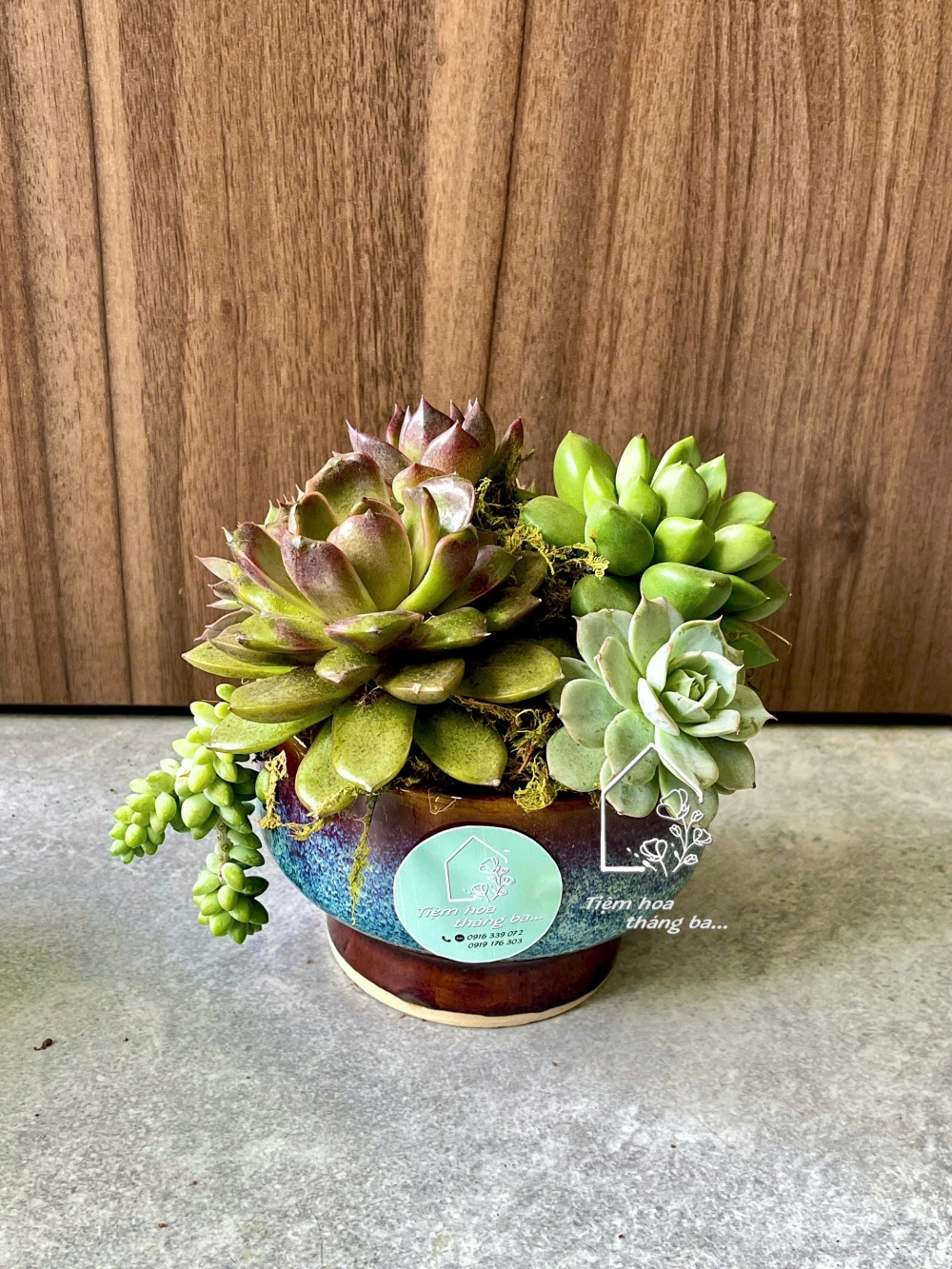 Z7425675556919 54389b6d1609829d202033cd500e034d Z7425675556919 54389b6d1609829d202033cd500e034d