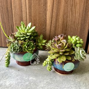 Z7425675562072 58df9aff959dbe092e957a9dc54bb79d