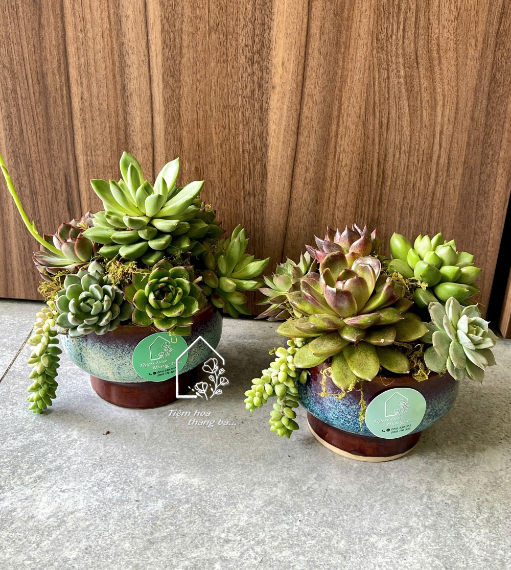 Z7425675562072 58df9aff959dbe092e957a9dc54bb79d Z7425675562072 58df9aff959dbe092e957a9dc54bb79d